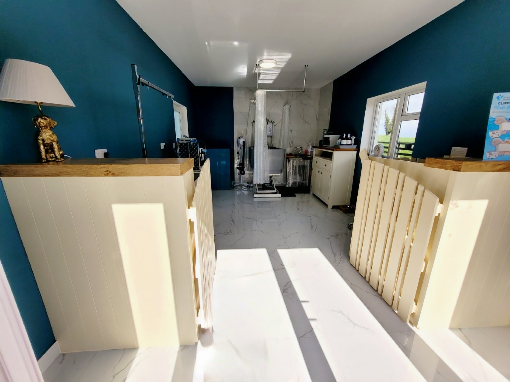 Inside Canine Country Spa — modern, clean grooming salon with no cages
